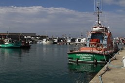 Evasion à Noirmoutier, la coqueluche des estivants