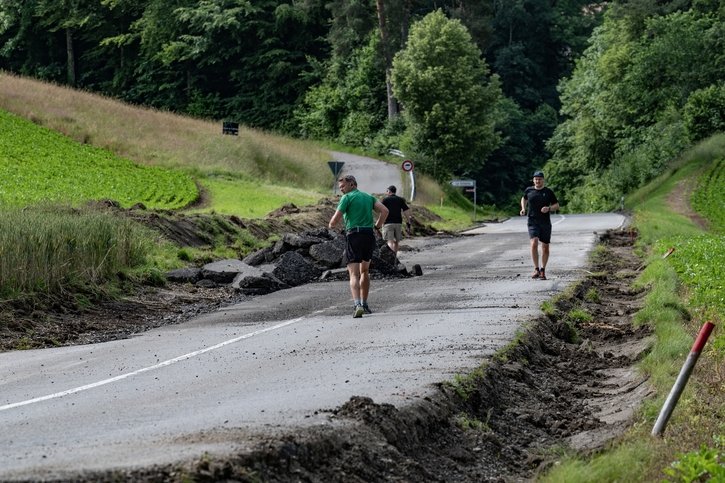Fribourg: Des arbres doivent faire de la place en bord de route