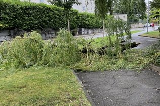 Météo: Aucun dégât important signalé dans le canton